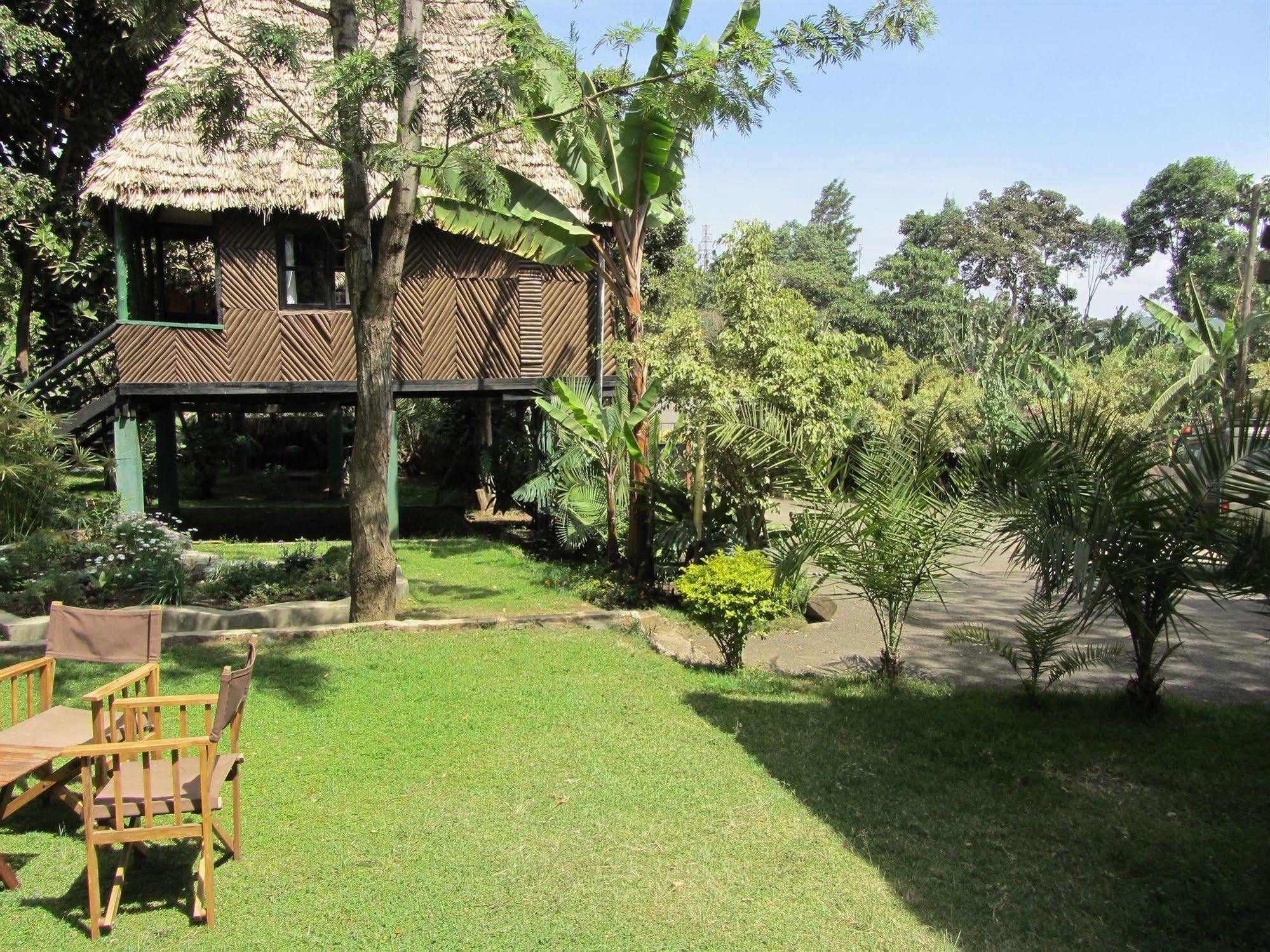 L Oasis Lodge And Restaurant Arusha Ngoại thất bức ảnh